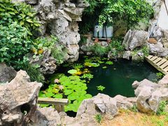 -美味之家·湖景农家乐(太湖东山店)