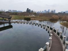 -眉山湿地公园(东坡区)