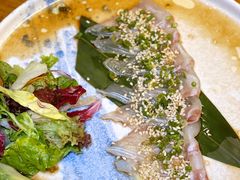 -Hatsune隐泉日式料理(三里屯太古里店)