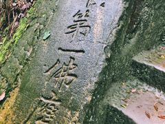 -大金鹰园
