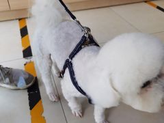 -宠福鑫康馨动物医院·骨科·眼科