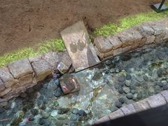 -南越王博物院(王宫展区)