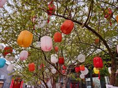 -春风习习