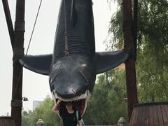 -青岛方特梦幻王国