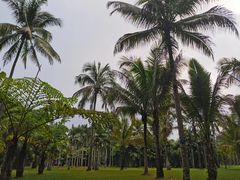 -中国科学院西双版纳热带植物园