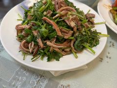 香菜炒肚丝-鼎香润(德胜门内店)