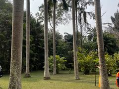 -中国科学院西双版纳热带植物园