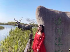 -溱湖国家湿地公园