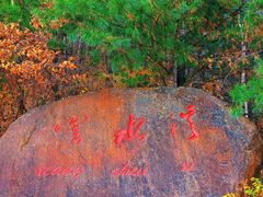 -五营红松林海景区