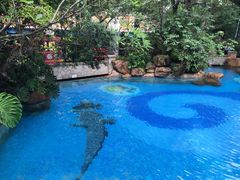 -Waterfall瀑布湾优健源(华侨城店)