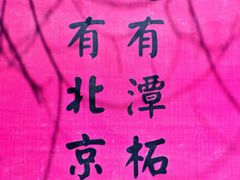 -潭柘寺景区