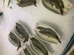 老虎虾-阳光岛·海鲜盛宴(银泰中心in99店)