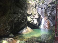 -牛背梁国家森林公园