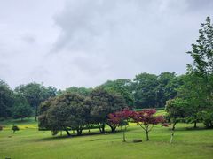 -宜兴龙背山森林公园