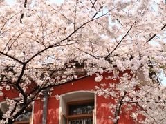 -浙江省杭州高级中学(贡院校区)