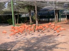 -鄂尔多斯野生动物园