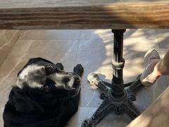 -T-COFFEE(长江花园店)