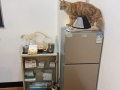 -荔康动物医院(康王北路店)