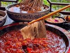 -矮板凳老火锅(宽窄巷子店)