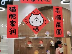 -COLOR PETS 撸猫馆·购猫·猫咖(长风大悦城店)