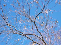 -相门城墙文化休闲景区