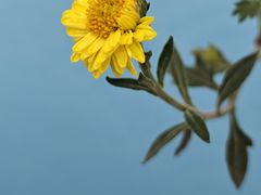 -陶然亭公园