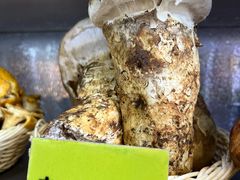 -菌海森林·非遗野生菌火锅(西山区滇池路摩根道店)