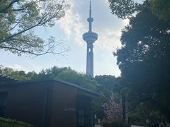 -南京古林公园