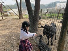 -武汉开心果园农业发展有限公司