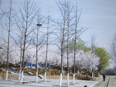 -永定河休闲森林公园