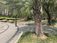 -苏州河梦清园环保主题公园