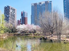 -长白岛森林公园