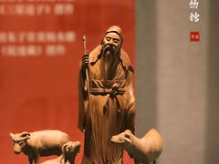 -温州博物馆