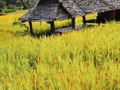 -湘邻呷铺·田园家宴(汉基广场店)