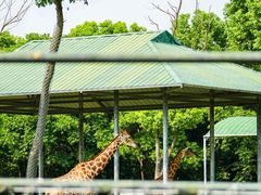 -常州淹城野生动物世界