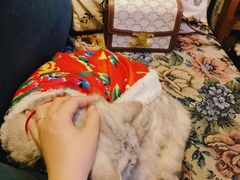 -豌豆小院咖啡馆