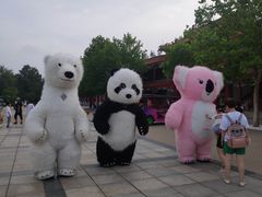 -南戴河国际娱乐中心