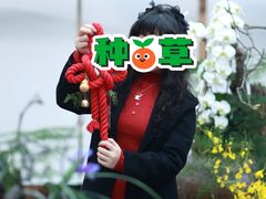 -华道钰善阁