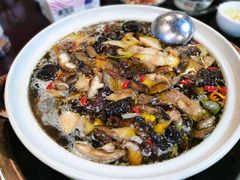 -杨记山珍鸡煲菌汤锅