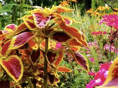 -长春公园(普阳街道)