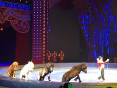 -珠海横琴长隆《卡卡虎奇遇记》