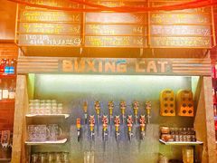-Boxing Cat Brewery拳击猫精酿啤酒馆(永福店)