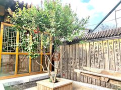 -宛平九号