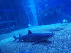 -成都浩海立方海洋公园