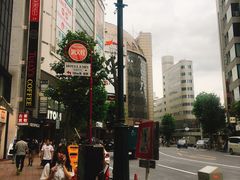 -涩谷区
