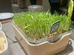 -海底捞火锅(青悦城店)