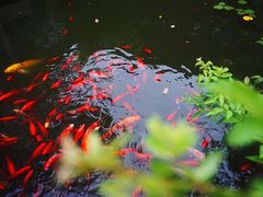 -苏州文旅花间堂·探花府酒店