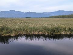 -野鸭湖国家湿地公园