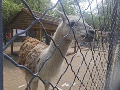 -长白岛森林公园