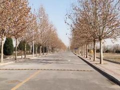 -首都师范大学(良乡校区)